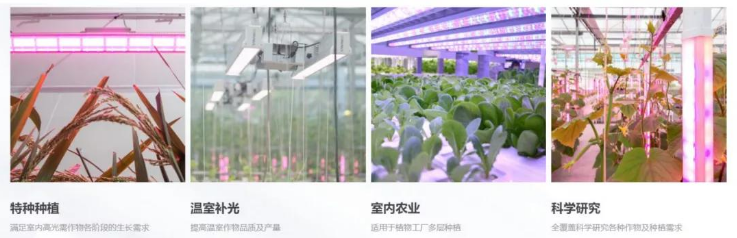 植物照明3.png