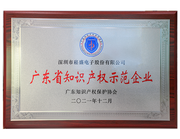 广东省知识产权示范企业