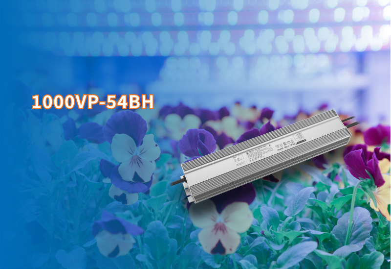 New product information ▏High-power 1000VP new product release